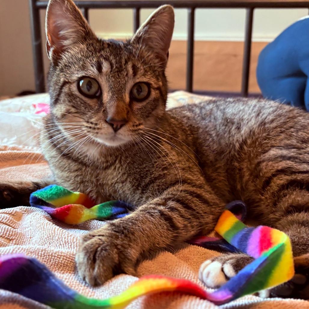 Sugar — thumbnail 2