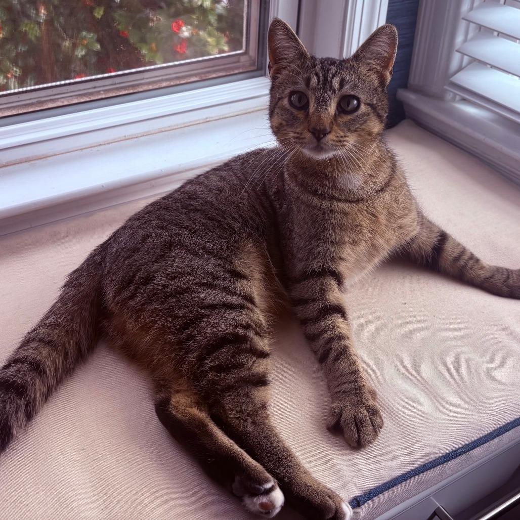 Sugar — thumbnail 3