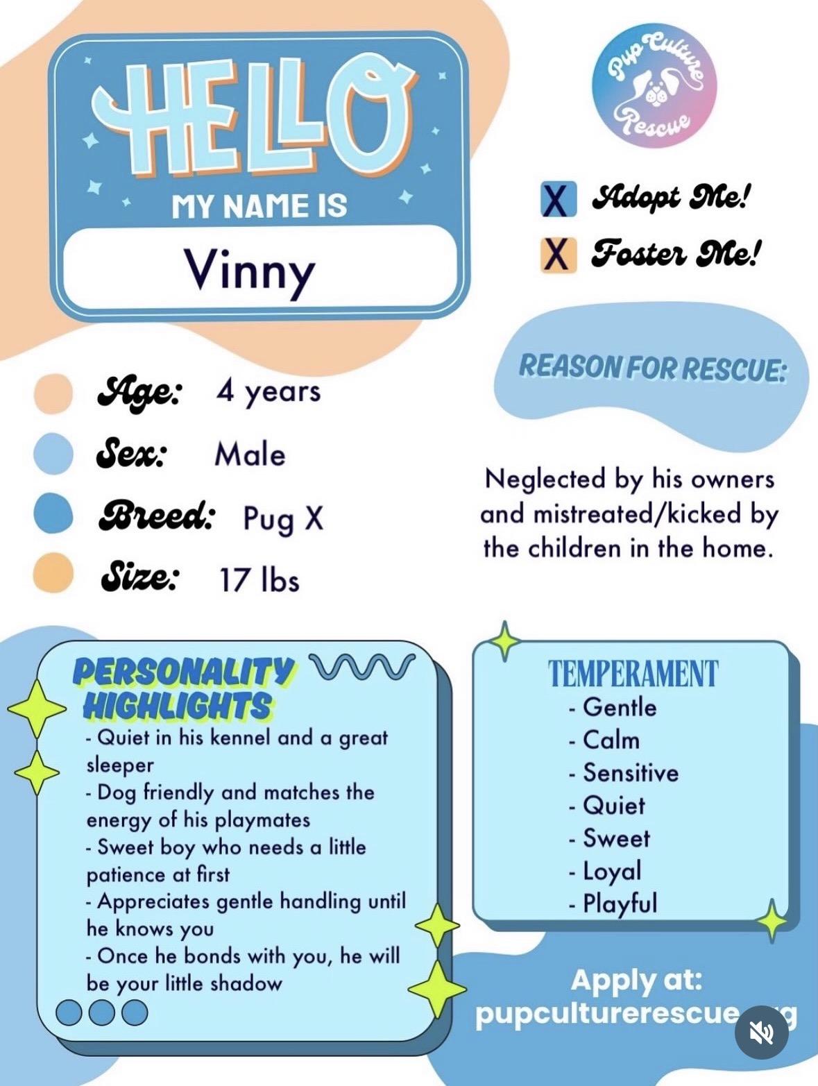 Enlarge Vinny, a ADOPTABLE mixed breed in Pasadena, CA image 2/6