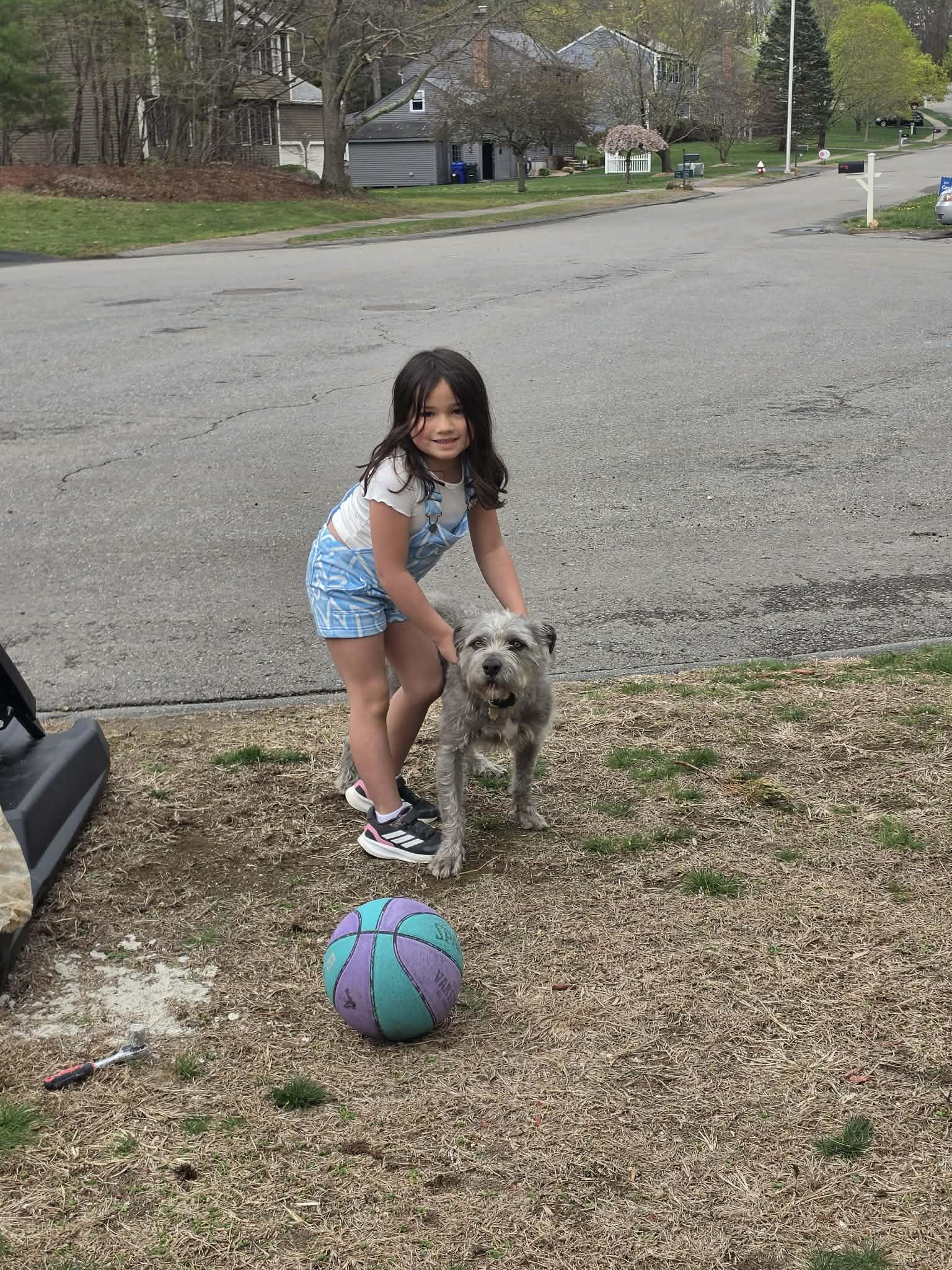 Enlarge Pepper, a ADOPTABLE mixed breed in Worcester, MA image 2/4