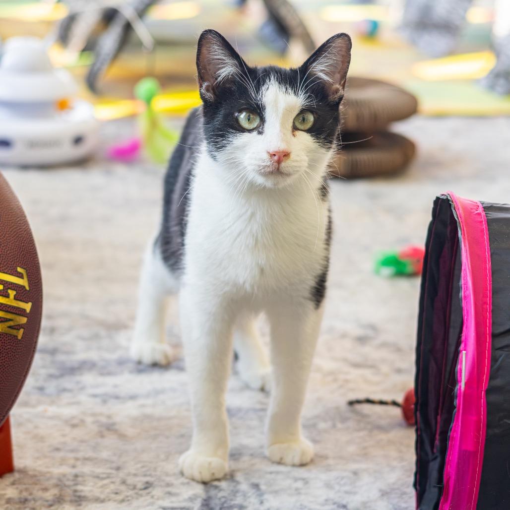 Zane — thumbnail 4