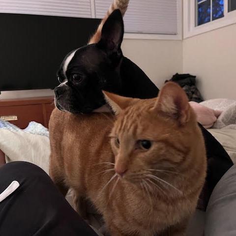 Callie — thumbnail 6