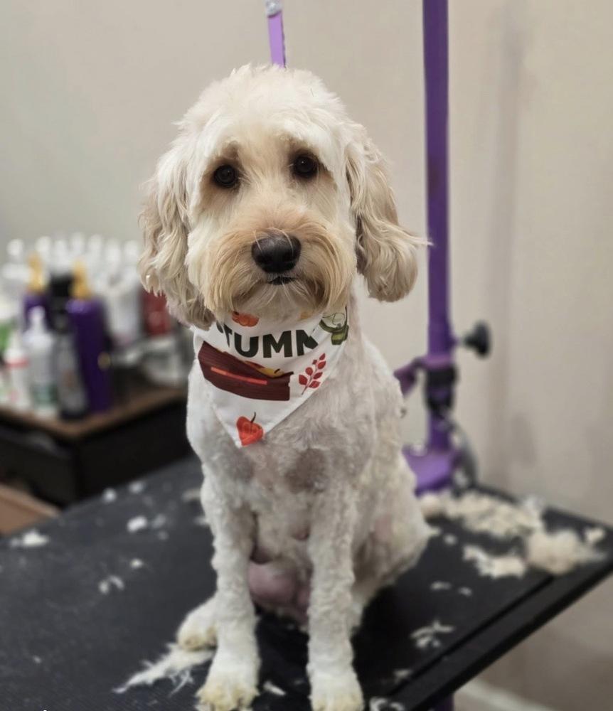 Izabella thumbnail 2