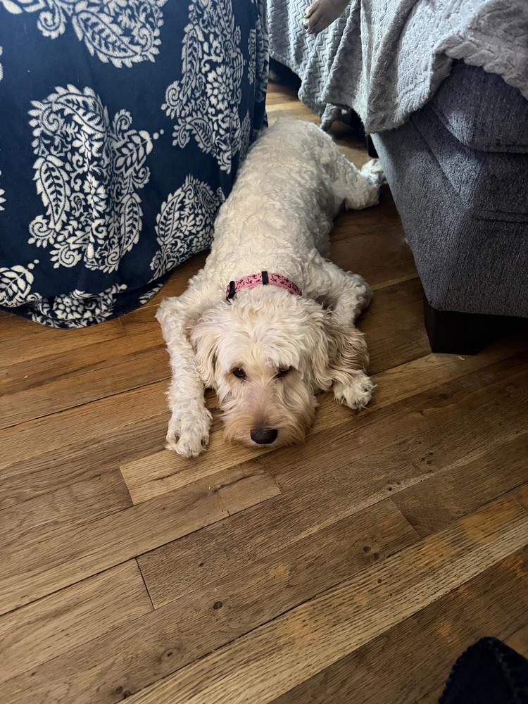 Izabella thumbnail 3