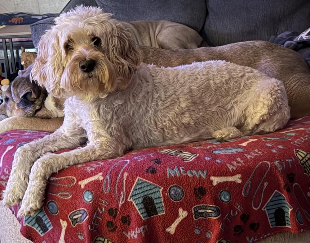 Izabella thumbnail 4