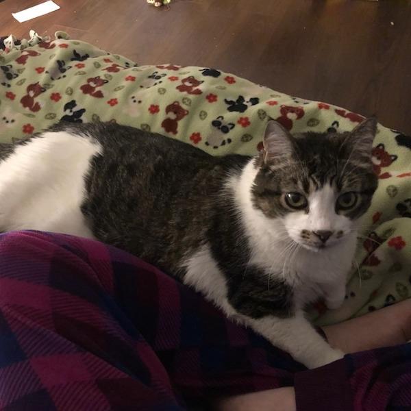 Squeeks — thumbnail 6