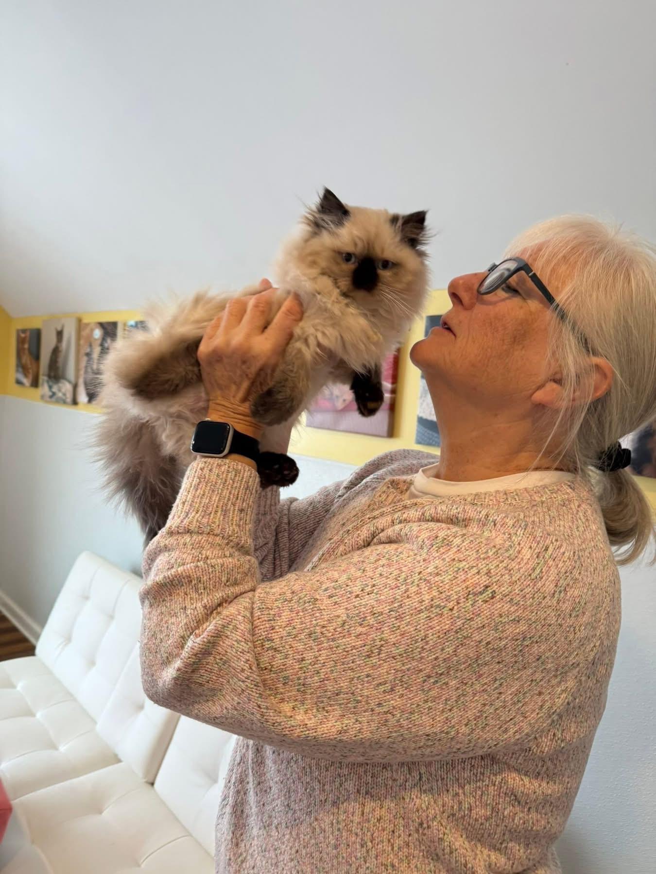 Enlarge Punxsutawney Phyllis , an adopted mixed breed in Blanch, NC image 6/6