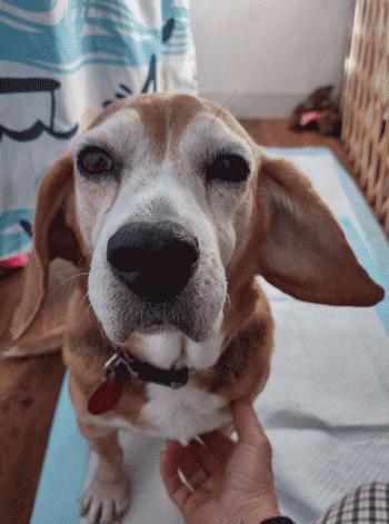 Ruby Sue