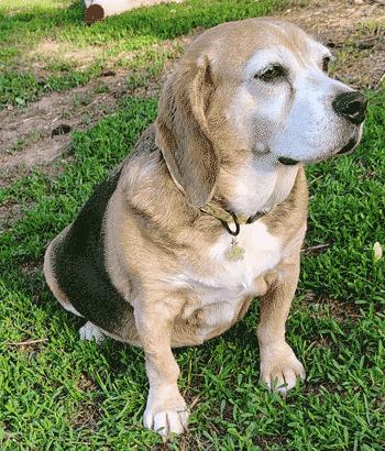 Ruby Sue
