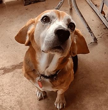 Ruby Sue