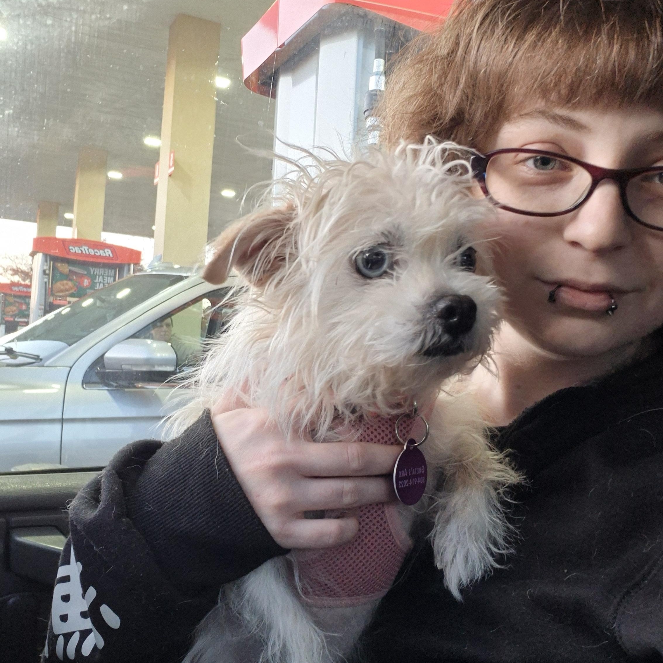 Enlarge Sarah, a ADOPTABLE mixed breed in metairie, LA image 3/4