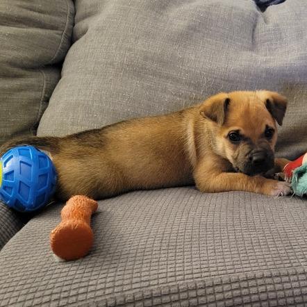 Ronald — thumbnail 2