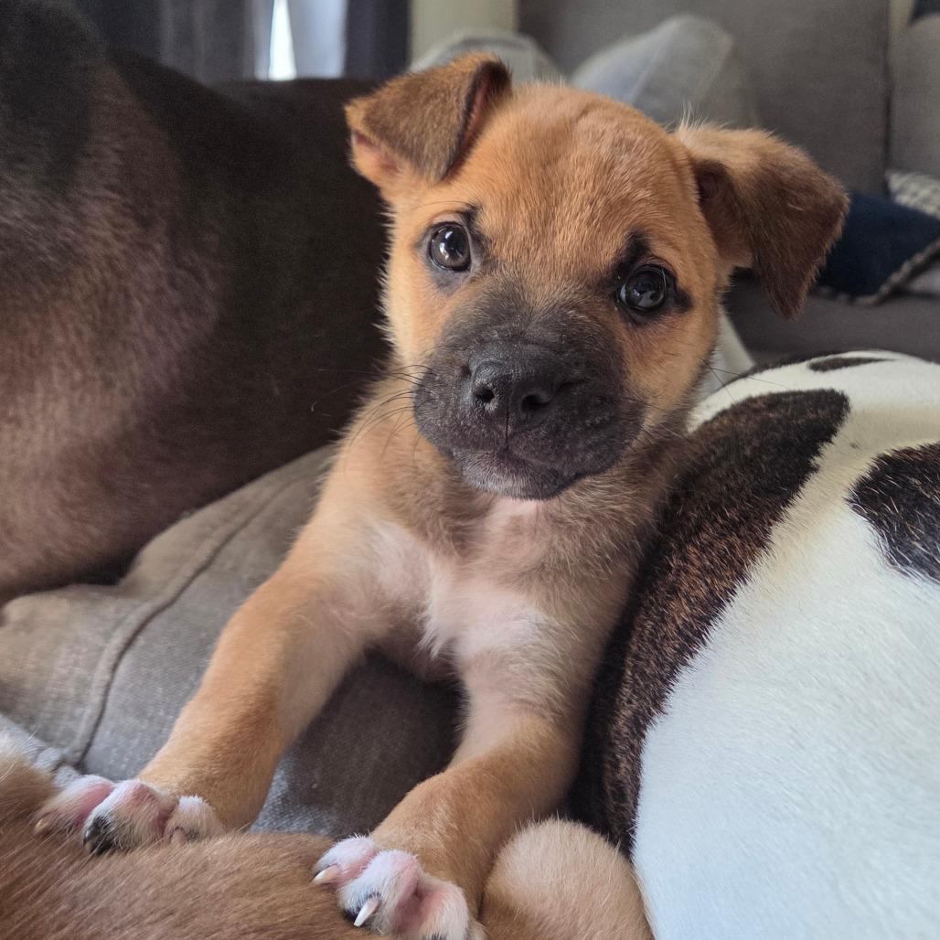 Ronald — thumbnail 4