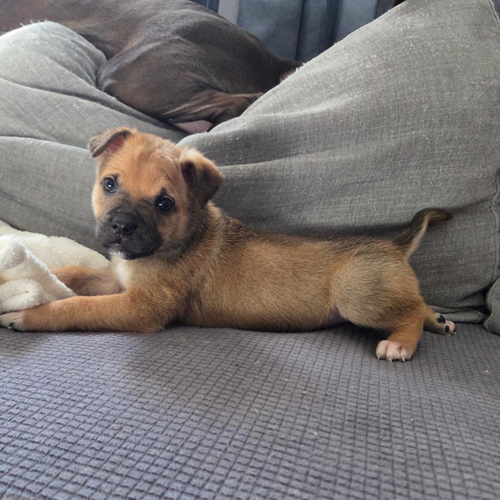 Ronald — thumbnail 6