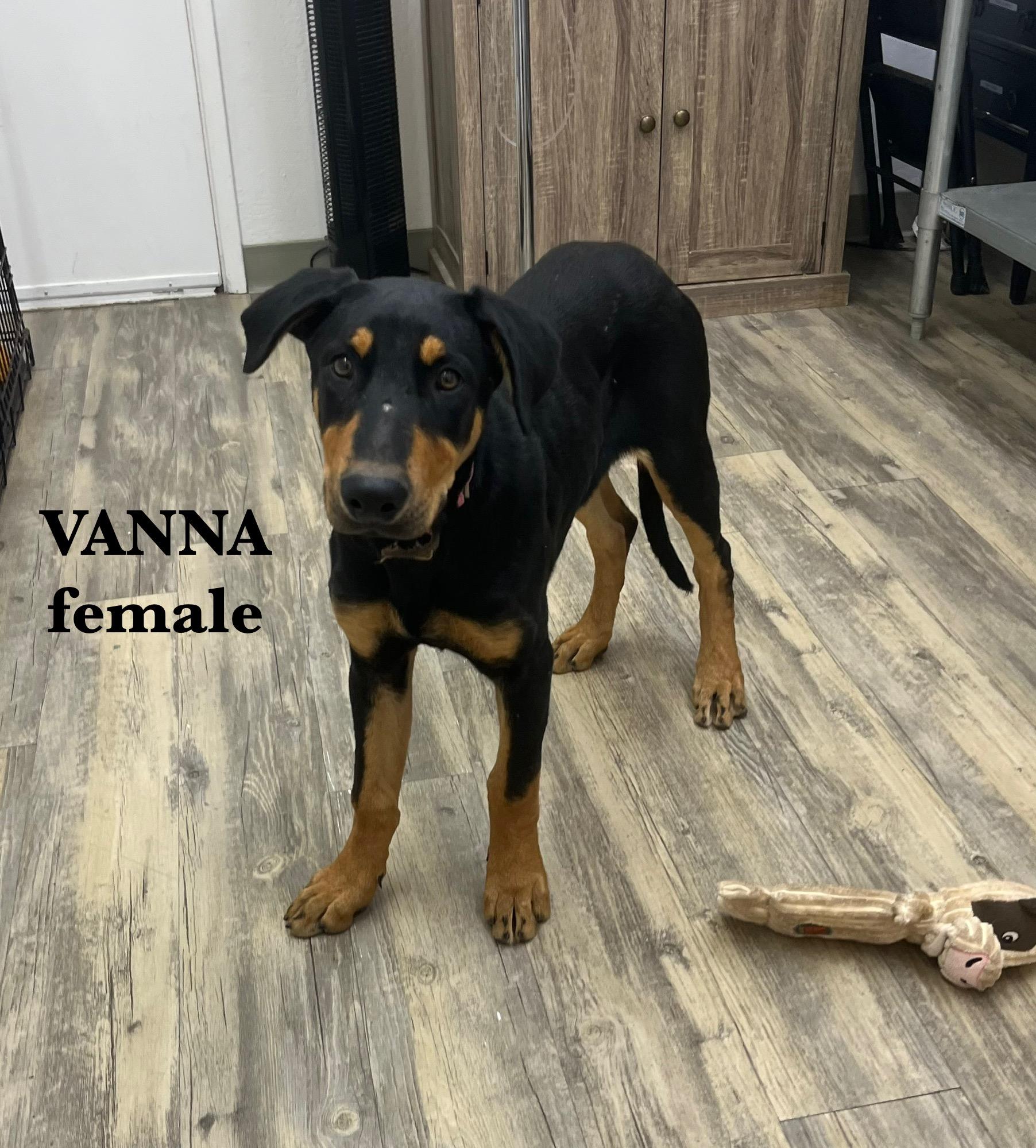 Vanna 0125