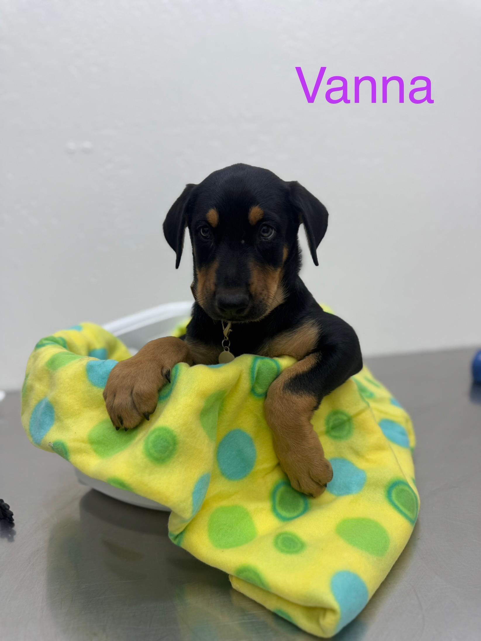 Vanna 0125