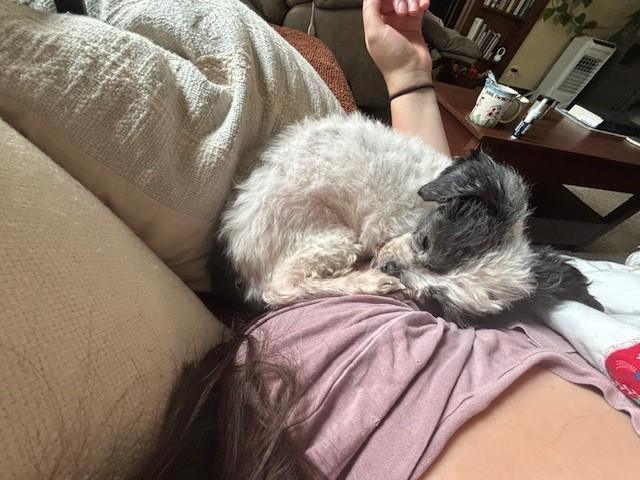 Otis photo 3