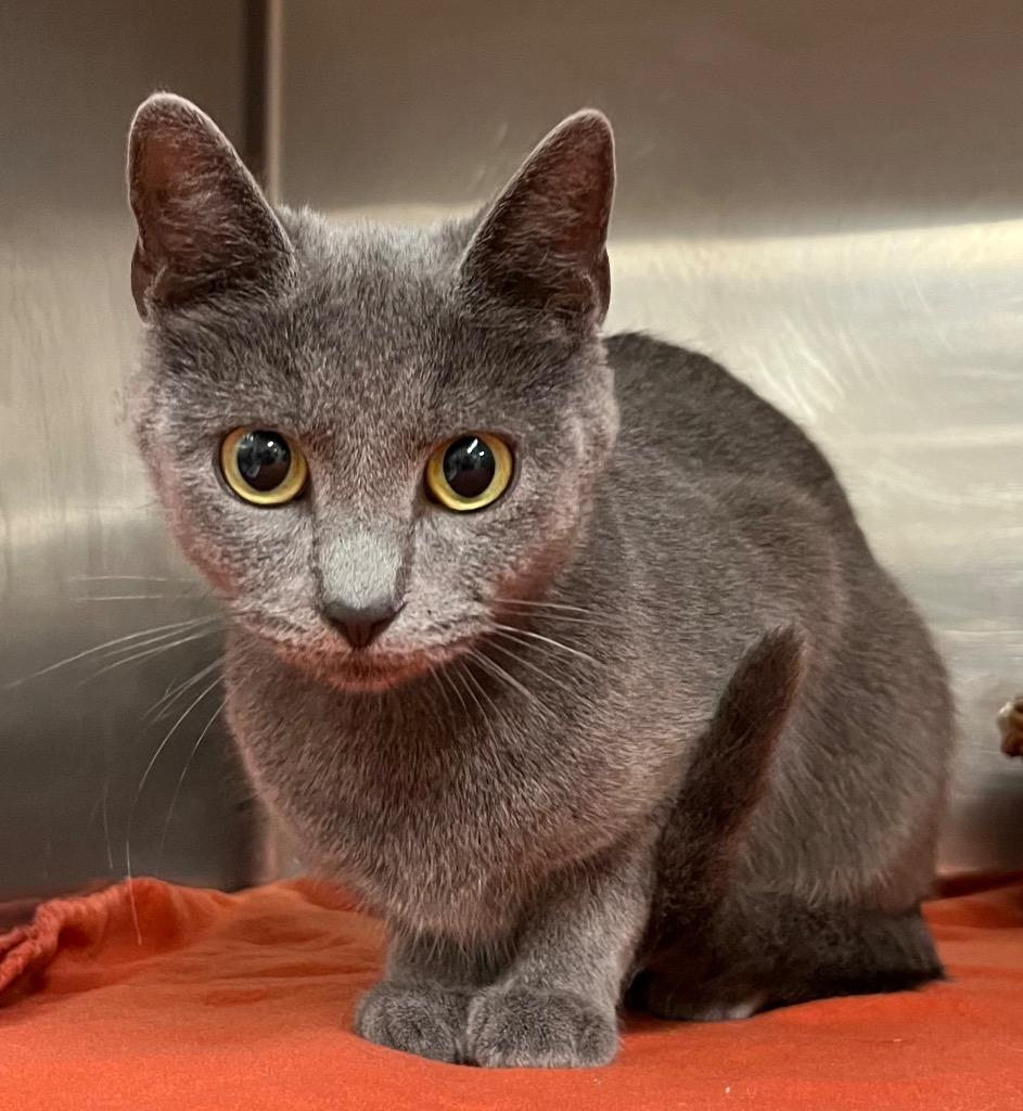 Hurricane thumbnail 2