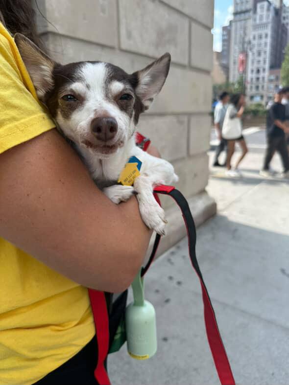 Chloe