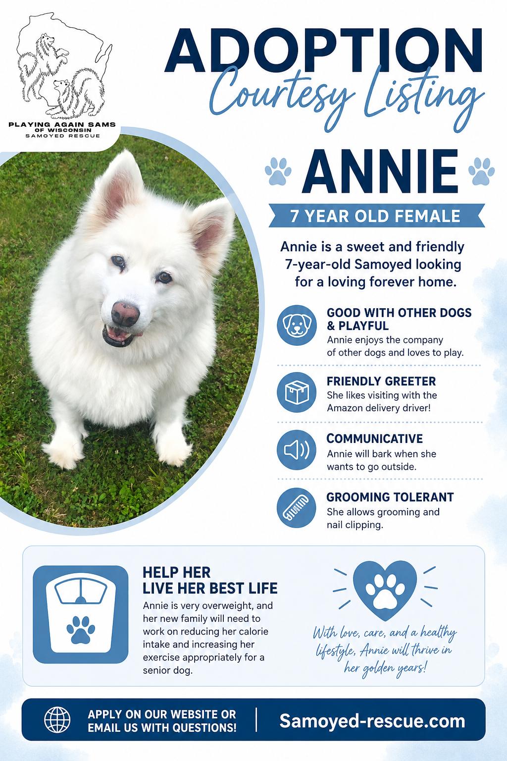 Annie - COURTESY LISTING, ADOPTABLE, Adult Female Samoyed.