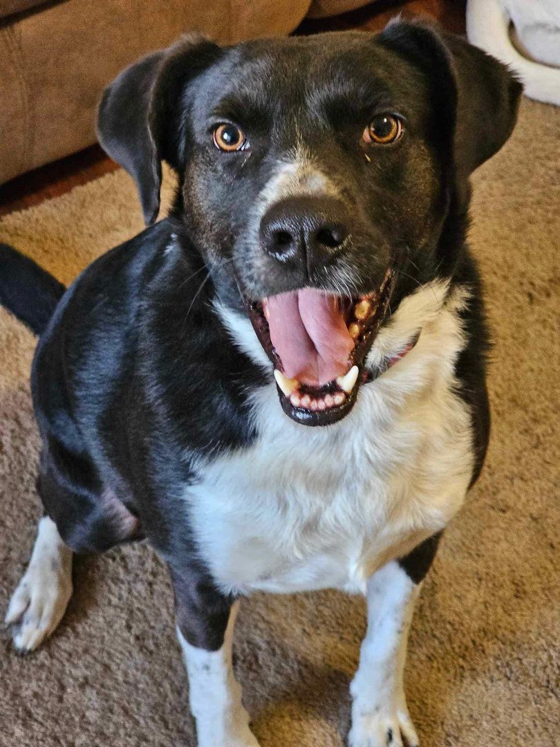 Birdie (20240219-03) — thumbnail 2