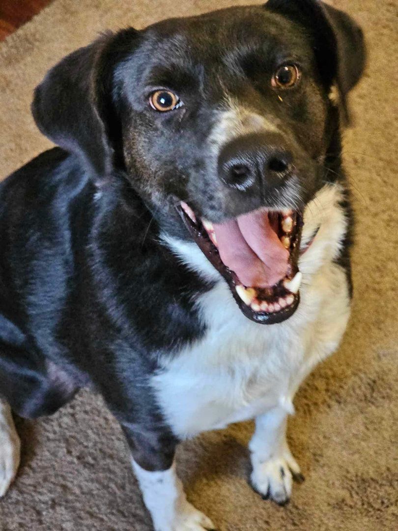 Birdie (20240219-03) — thumbnail 5