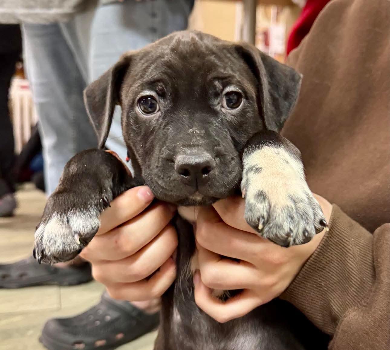 Bottlecap thumbnail 3