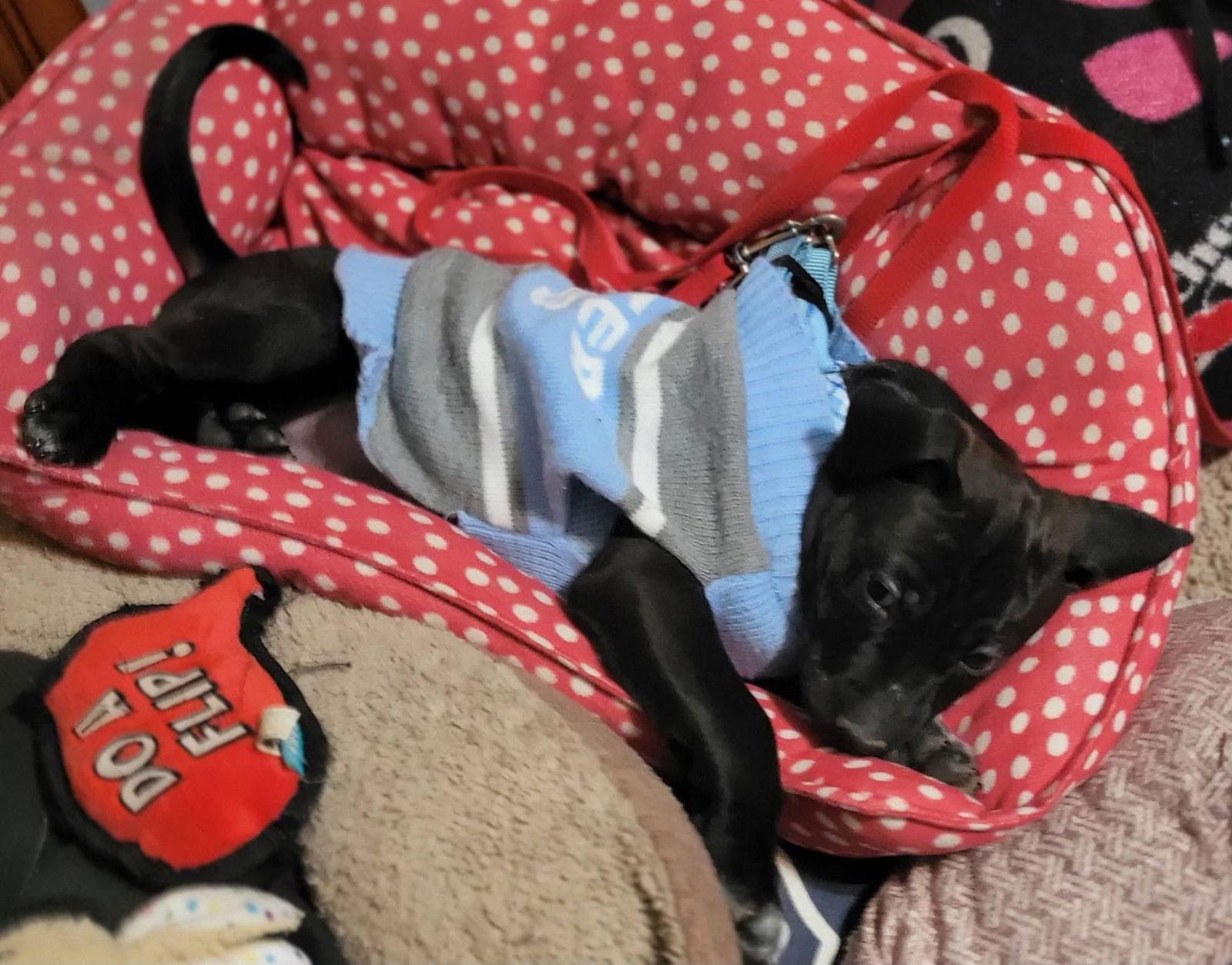 Bottlecap thumbnail 4