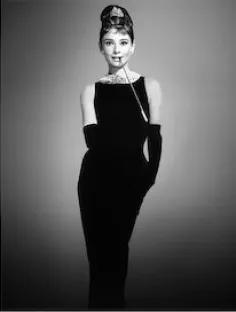 Holly Golightly, a Adoptable Domestic Short Hair in Richmond, VA image 2/5