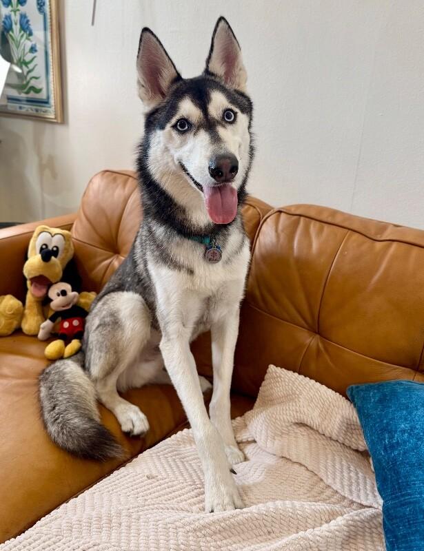 Ranger Roo The Coolest Dude