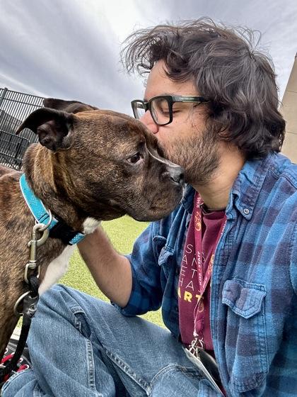 Enlarge Daniel, a Adoptable mixed breed in Wichita, KS image 3/3