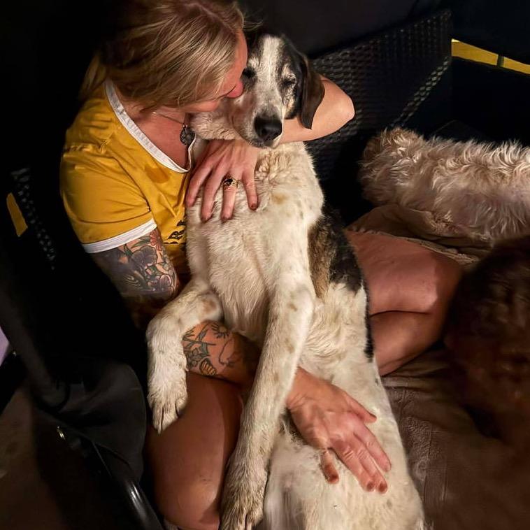 Enlarge Ida, a Adoptable Coonhound in Gulfport, MS image 5/5