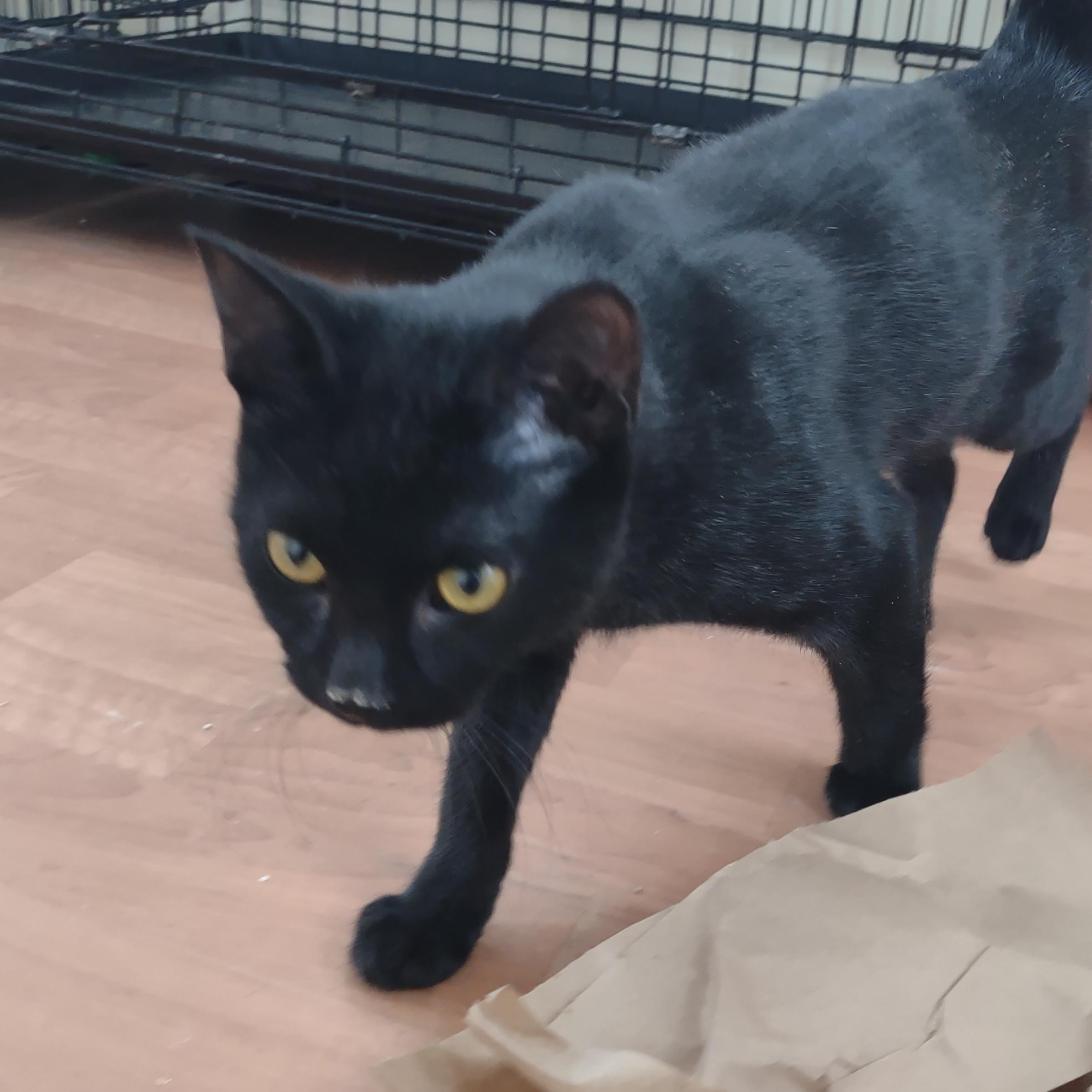 Jake Mews thumbnail 5