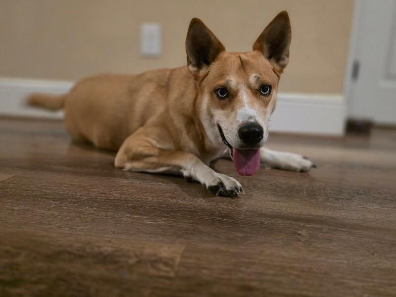 Darling Delilah so Dainty — thumbnail 2