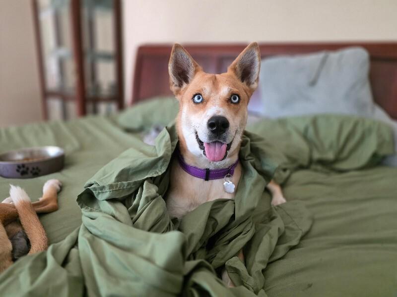 Darling Delilah so Dainty — thumbnail 4