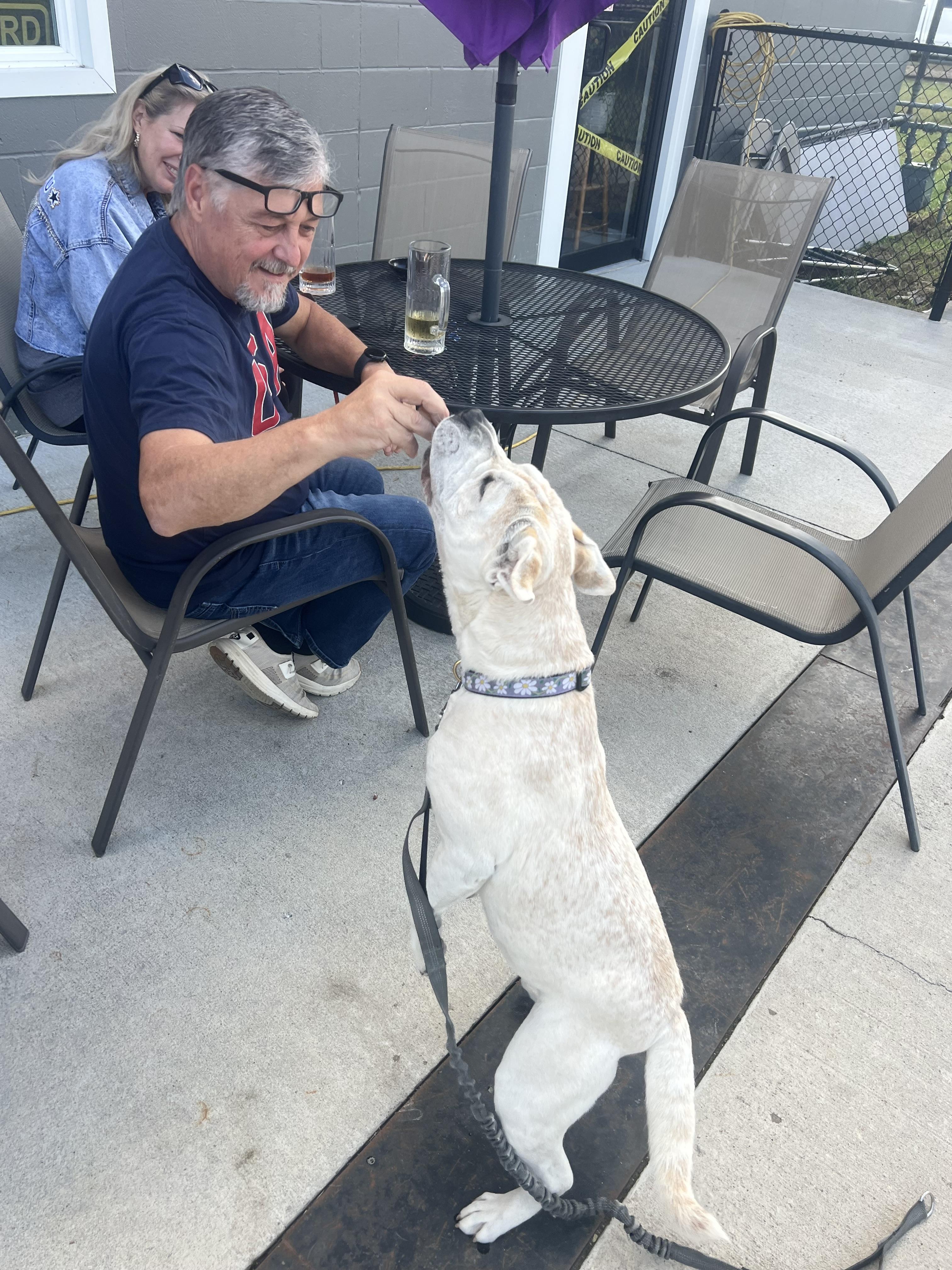 Mary Puppins thumbnail 4