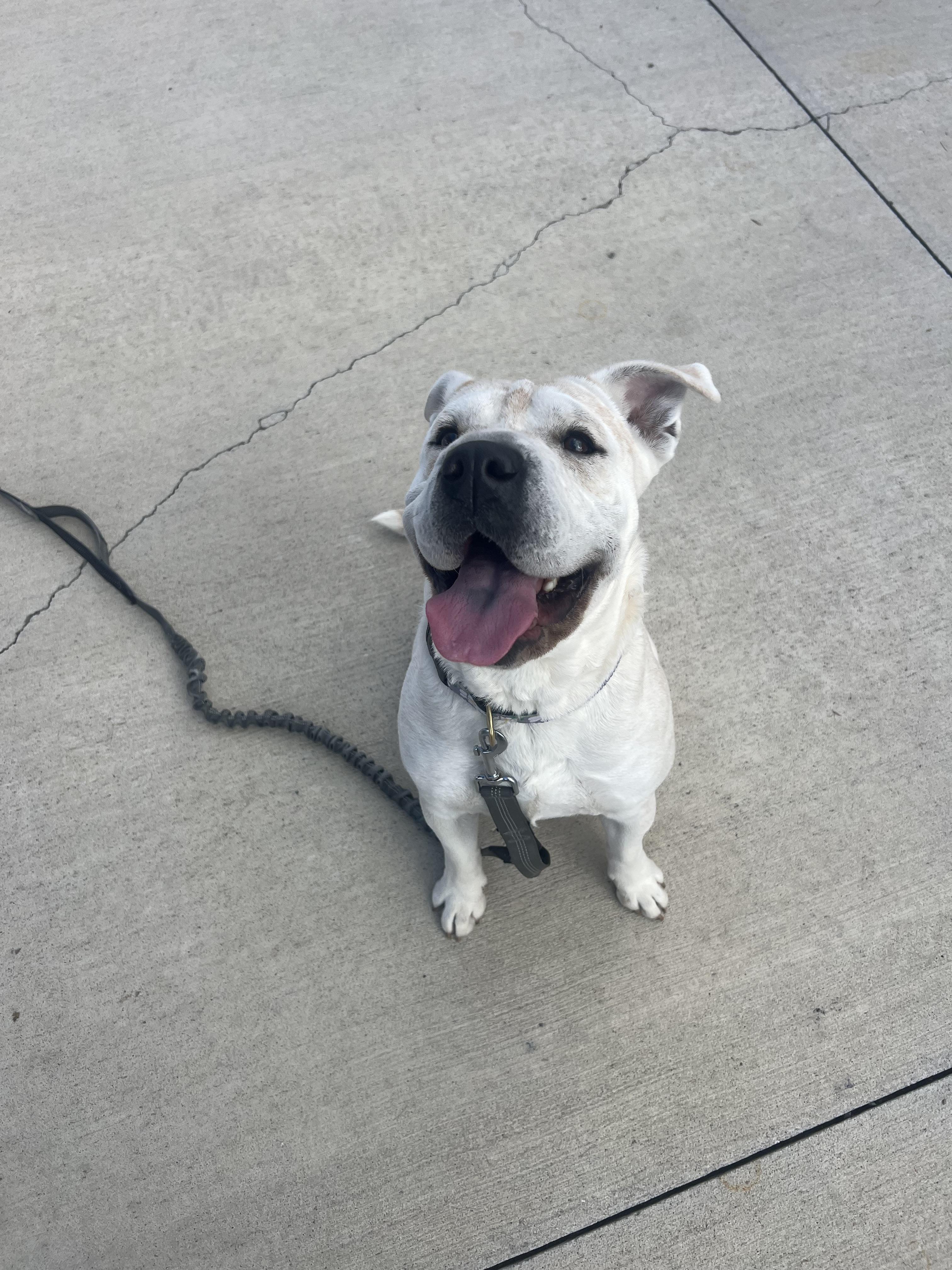 Mary Puppins thumbnail 2