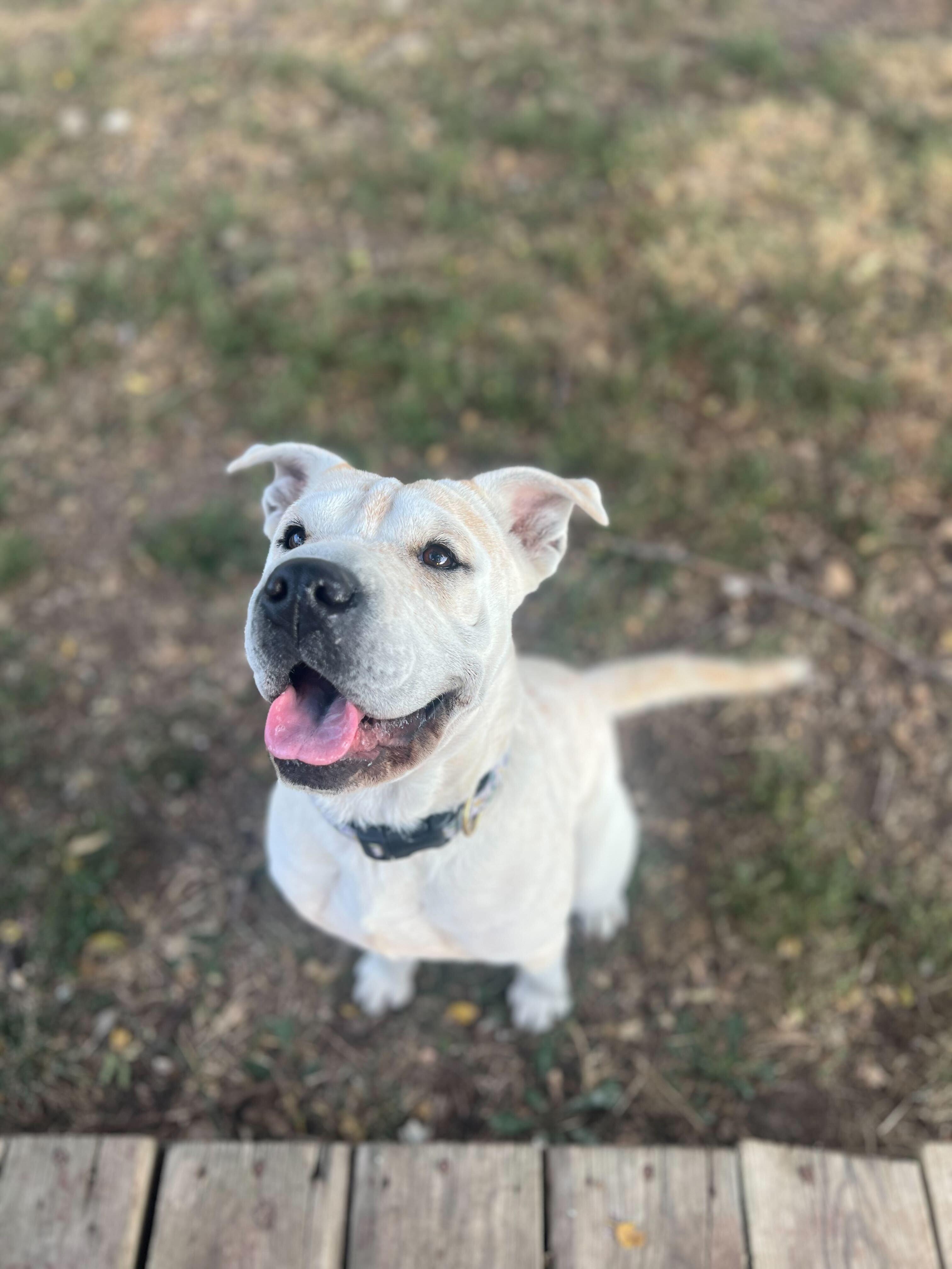 Mary Puppins thumbnail 6