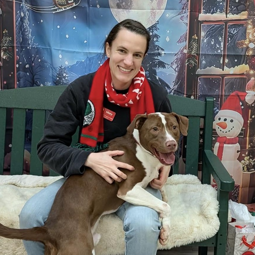 Happy , Adoptable, Young Male Mixed Breed.