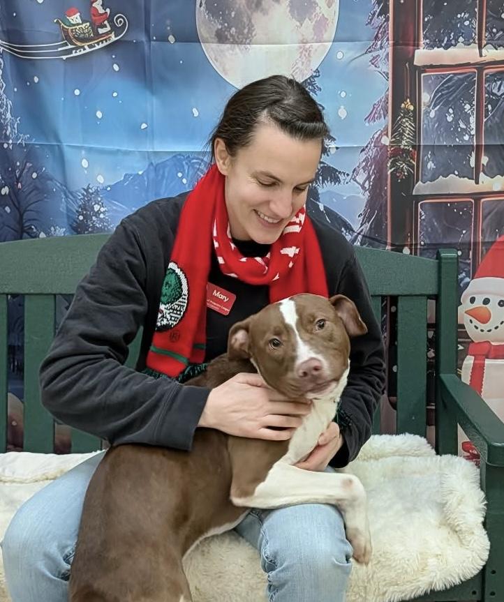 Enlarge Happy , a Adoptable Mixed Breed in Elyria, OH image 3/4