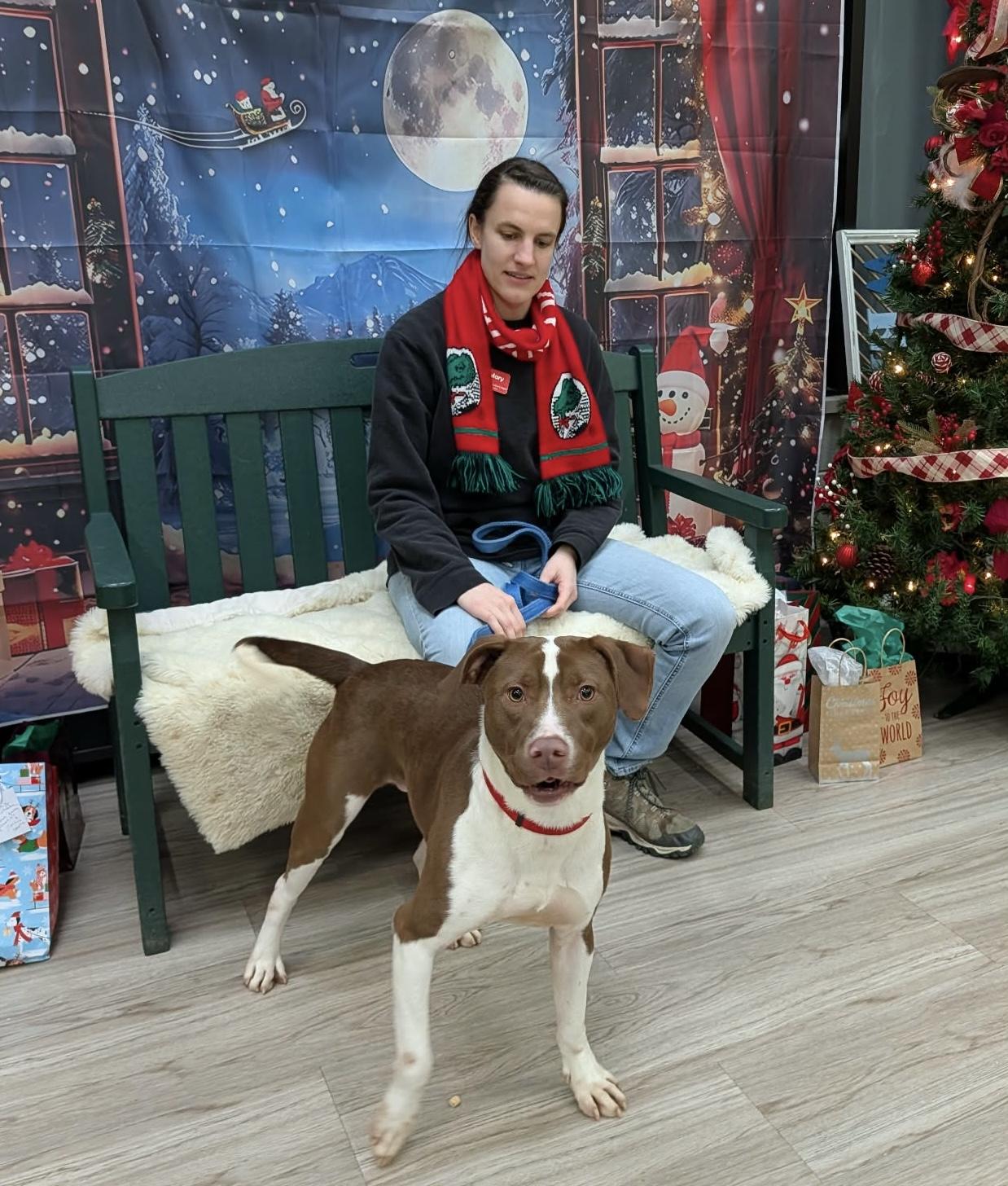 Enlarge Happy , a Adoptable Mixed Breed in Elyria, OH image 4/4