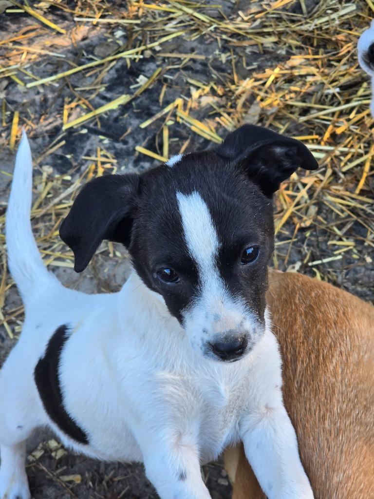 Monteyray thumbnail 2