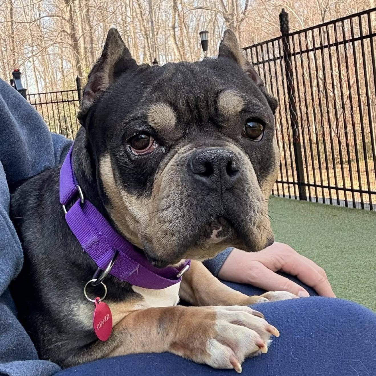 Eleanor (20260301-05)