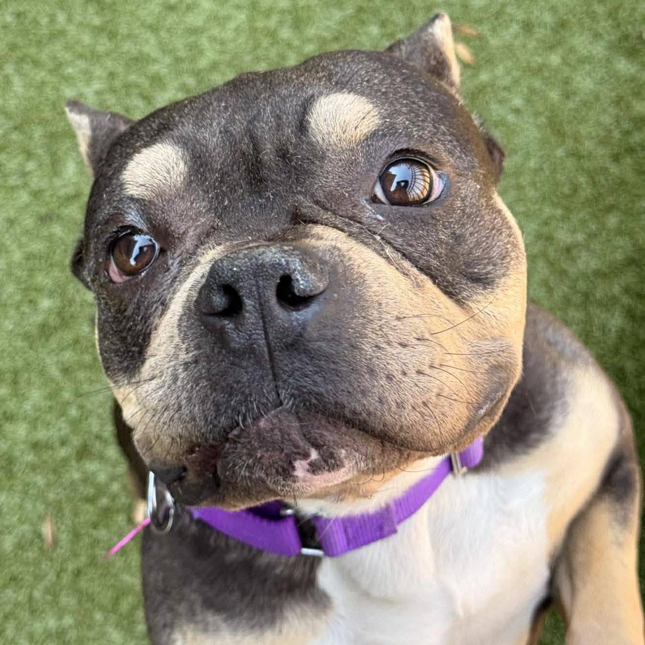 Eleanor (20260301-05) — thumbnail 2