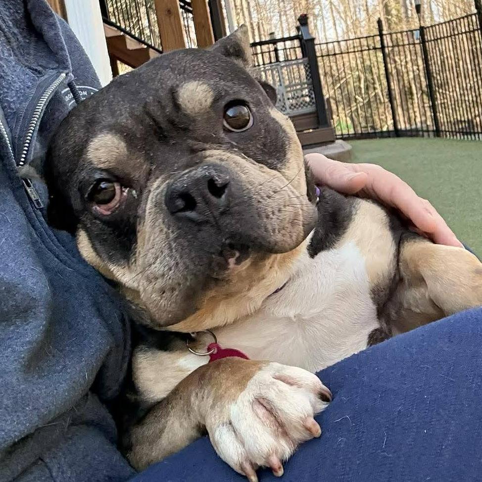 Eleanor (20260301-05) — thumbnail 3