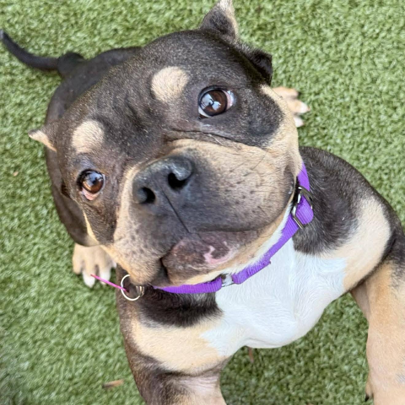 Eleanor (20260301-05) — thumbnail 4