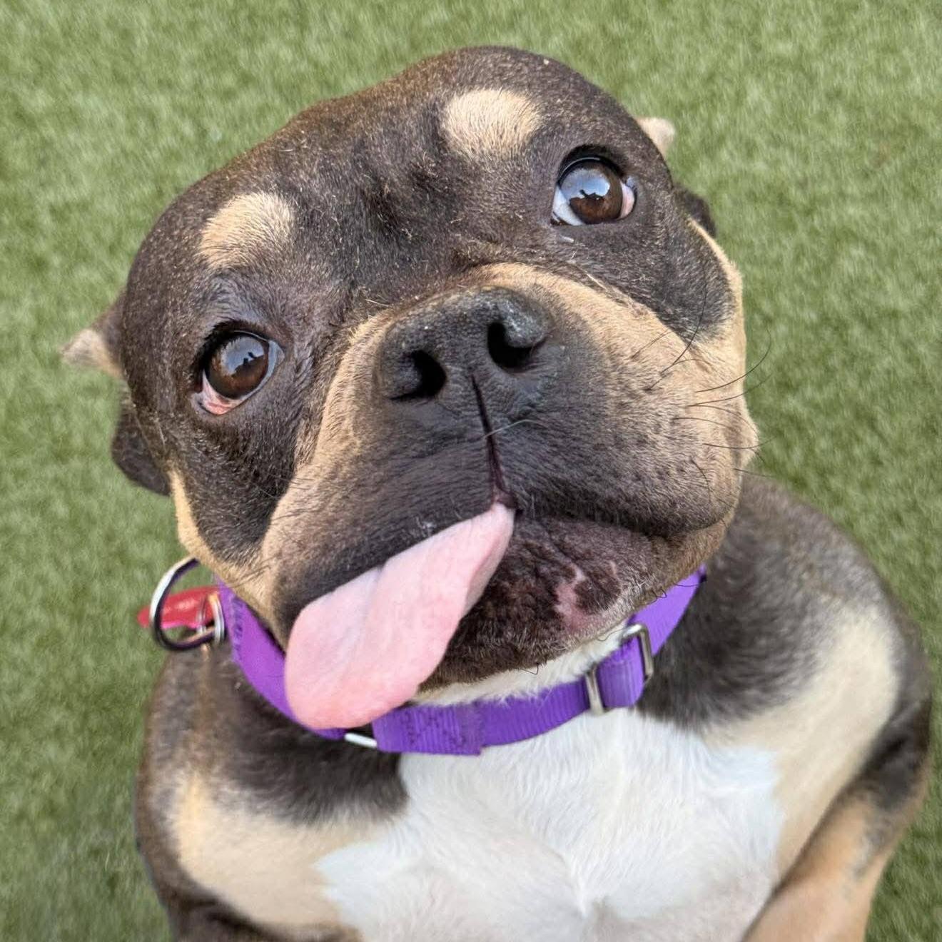 Eleanor (20260301-05) — thumbnail 5