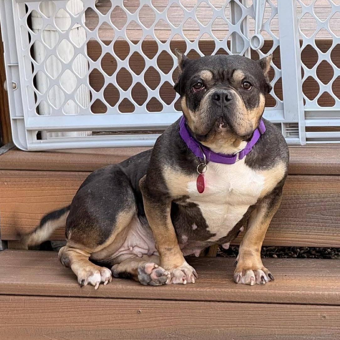 Eleanor (20260301-05) — thumbnail 6