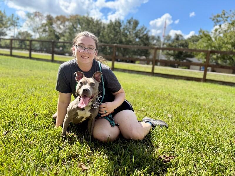 Bee Bee The Bouncy Belle