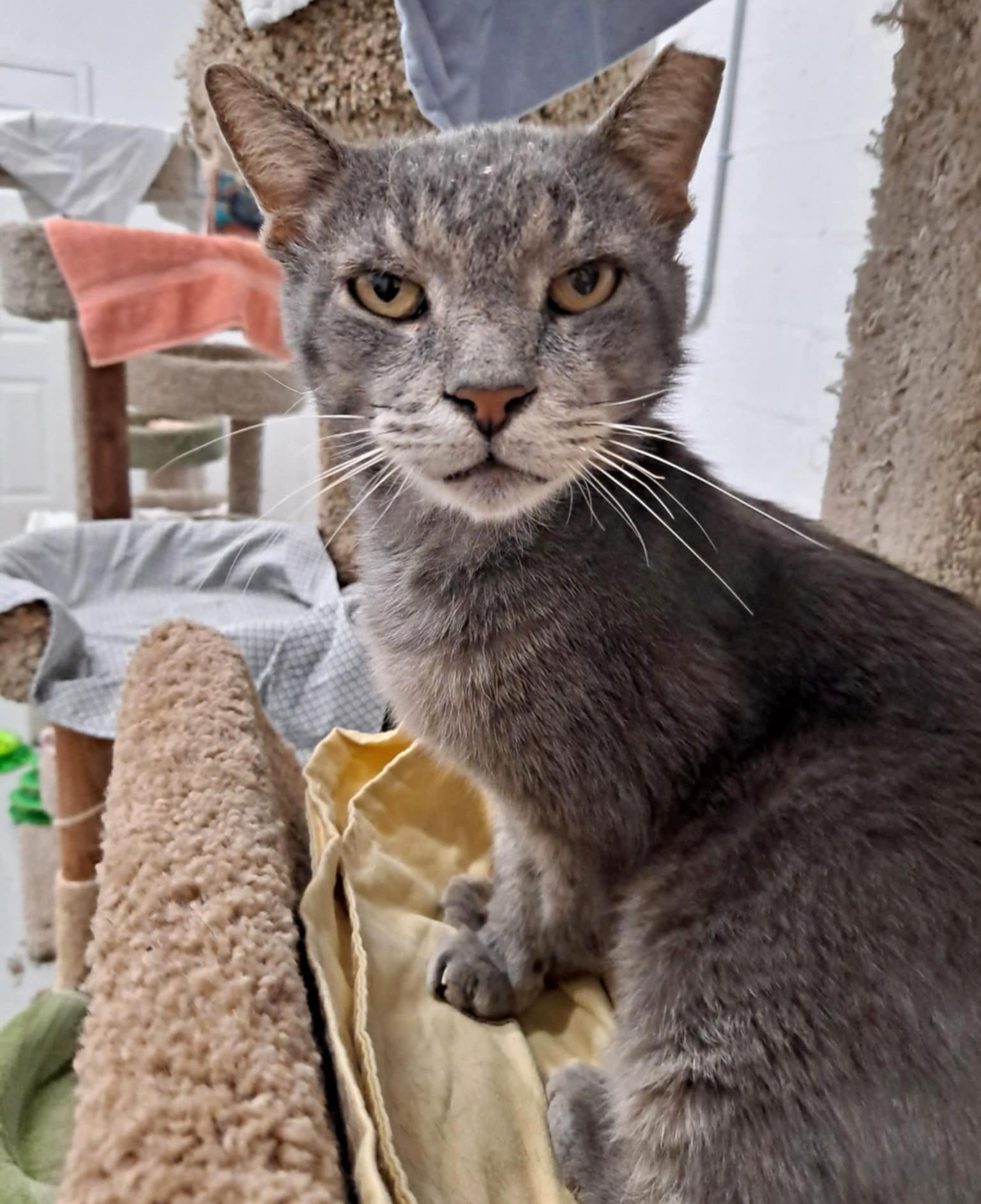 Tom, Senior Male unknown